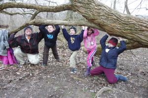 Cub scouts and friends playing in the Osage orange grove