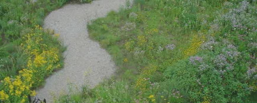 Aerial view of the Sacred Embrace Earthwork. Photo by Michele Banker.